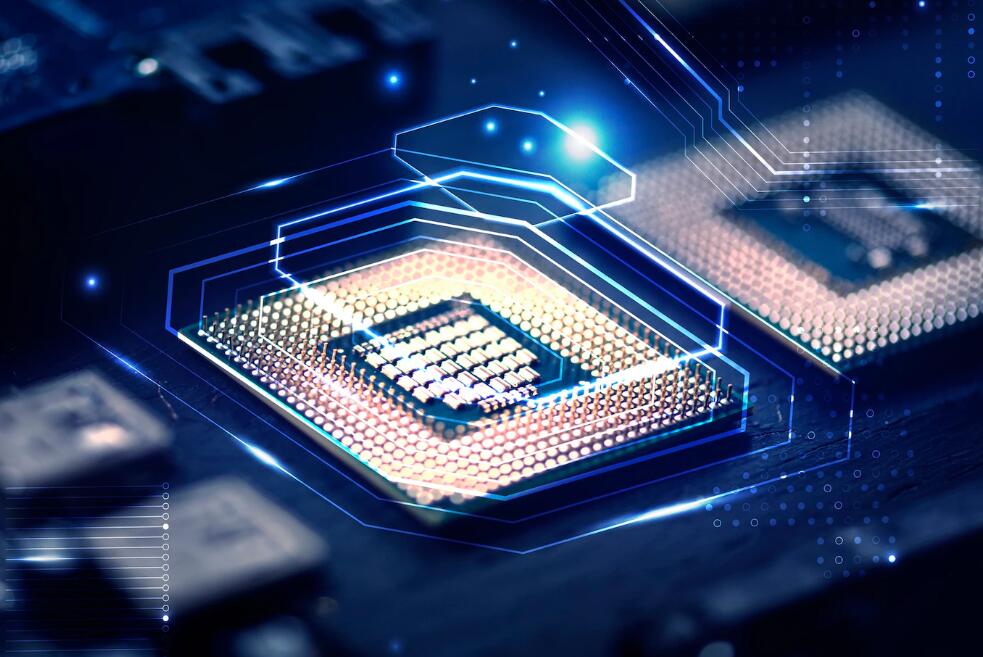 深圳市市运会游泳比赛规则 游泳世锦赛团体比赛规则